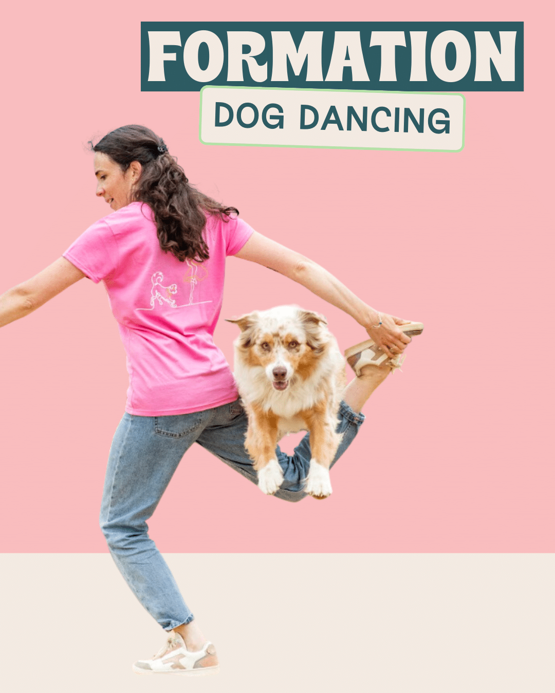 formation dog dancing pour débutant