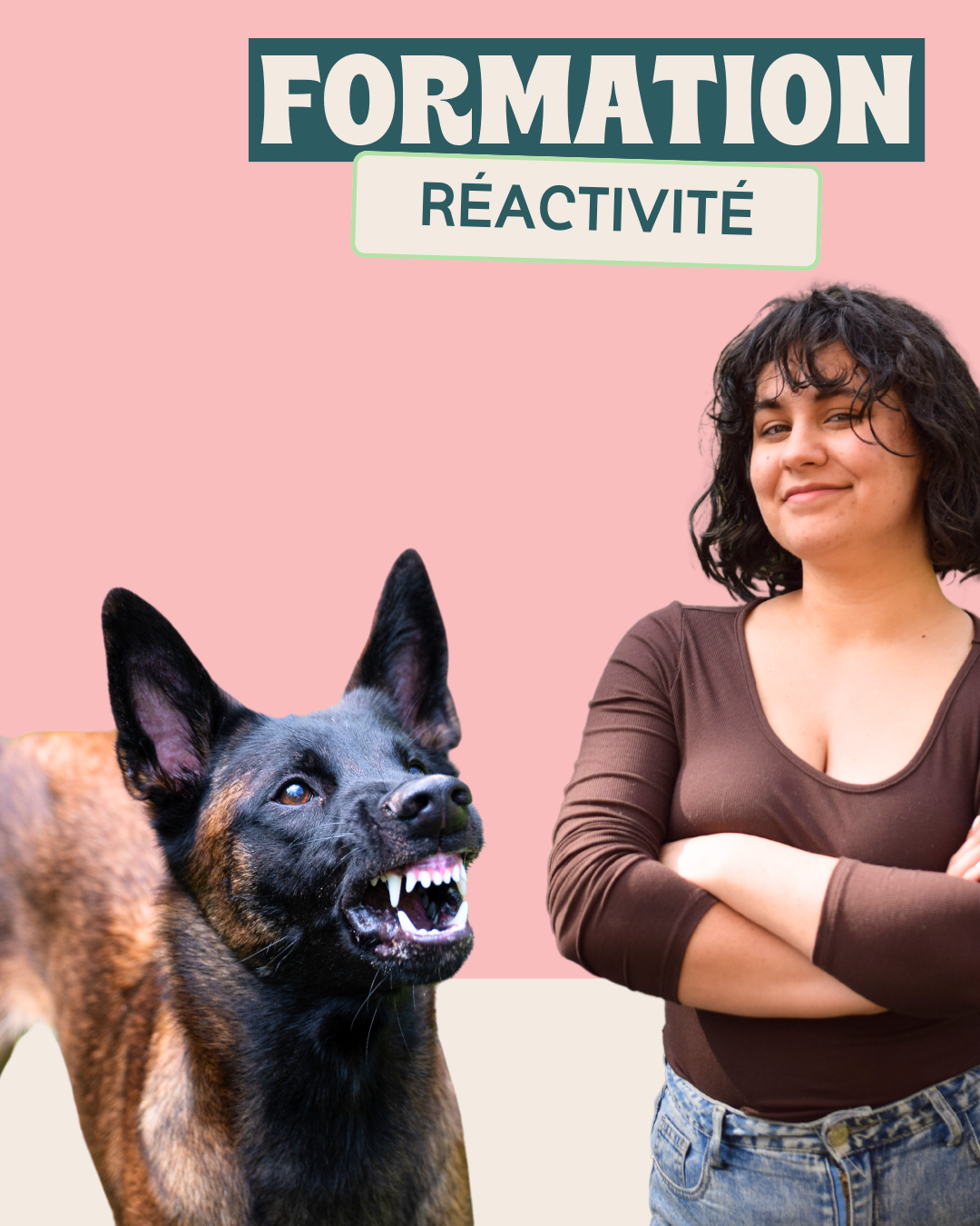 Formation pour comprendre la réactivité des chiens