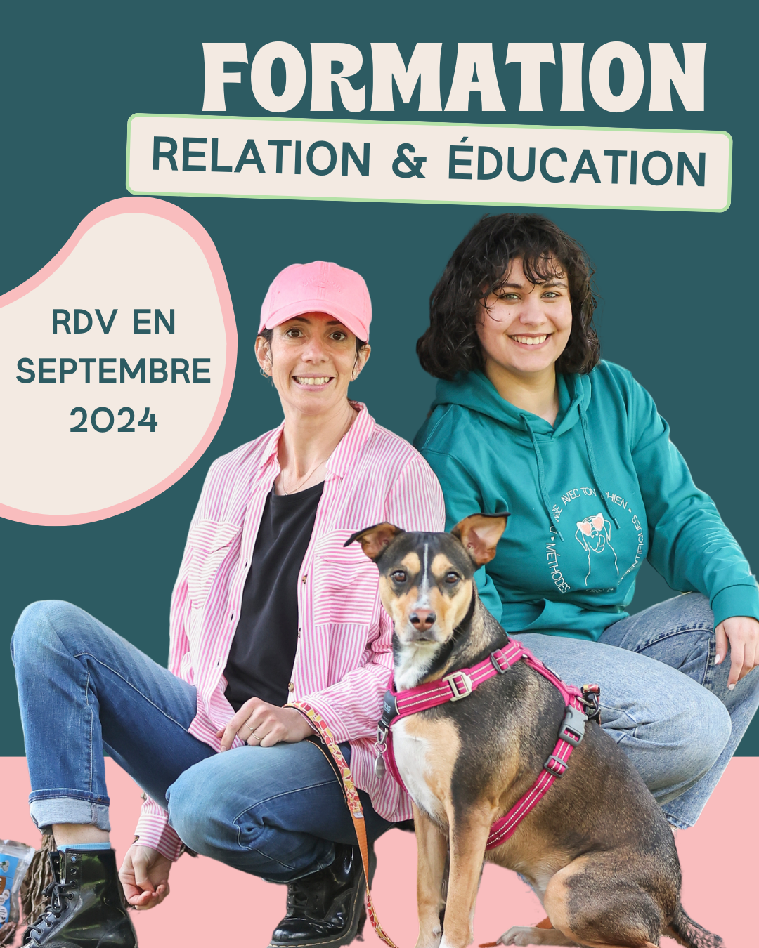 Formation relation et education canine
